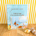 Photo du pack album jeunesse Crabe le rouge et les momotes à la plage complété d'un marque-page et un sachet de stickers.