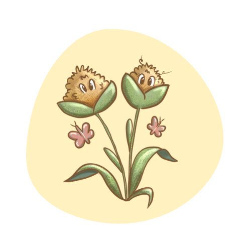 Vignette d'une illustration d'une fleur où les bourgeons sont deux momotes.